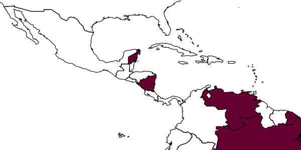 map of Anisepyris khimi     Barbosa & Azevedo, 2018